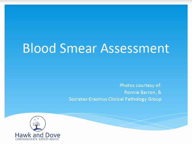 blood smear assessment